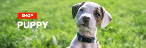 Shop Hill's Science Diet Puppy Food