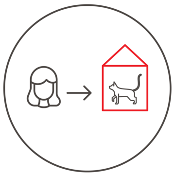 common recommendations