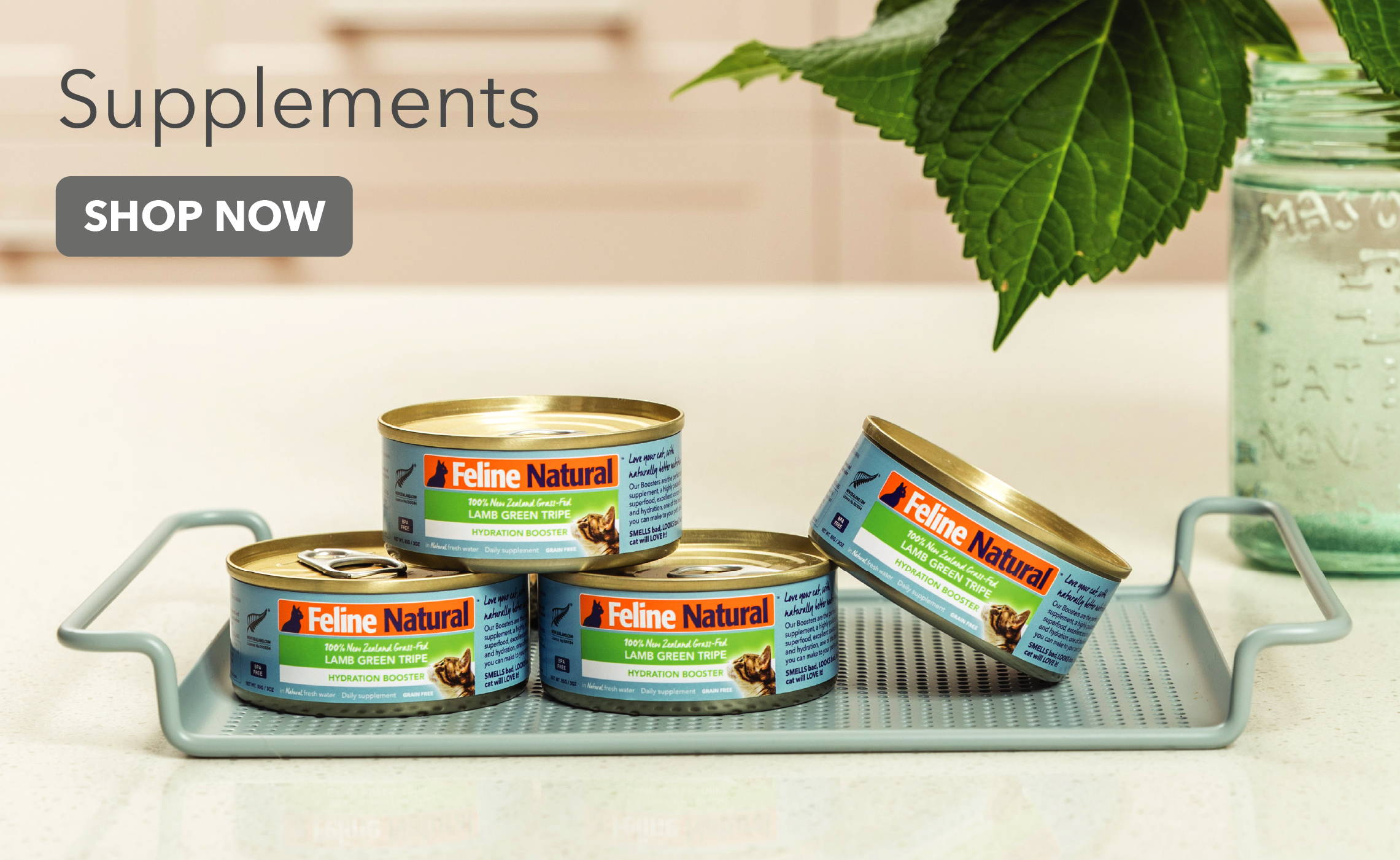 Feline Natural Supplements