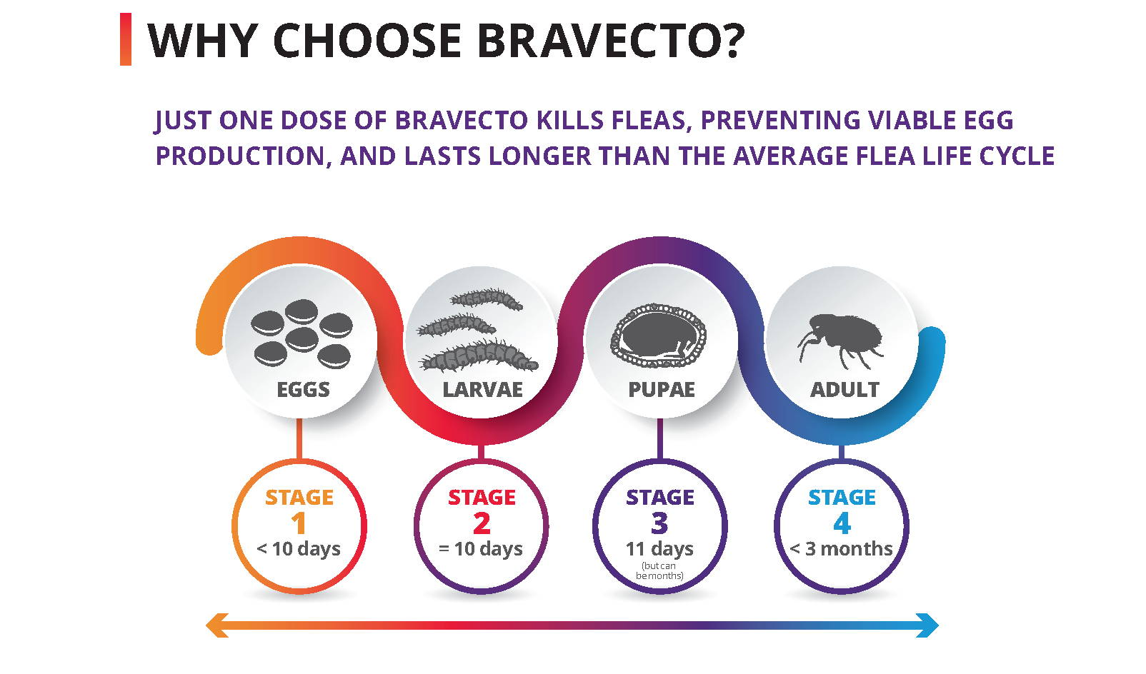 Why choose Bravecto?