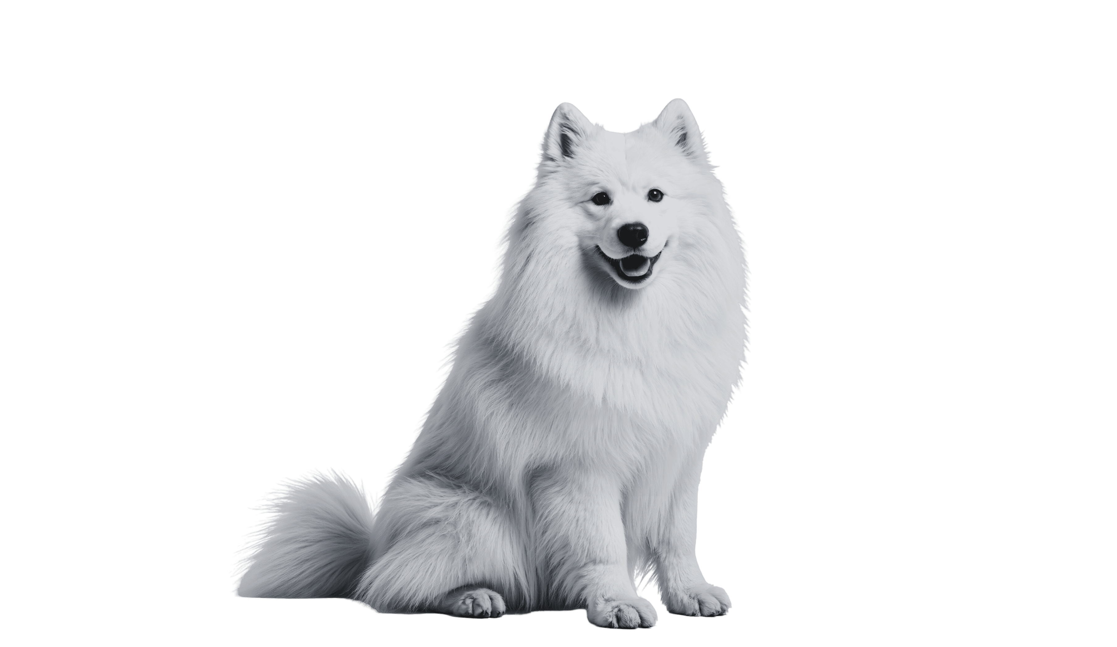 Desktop Image