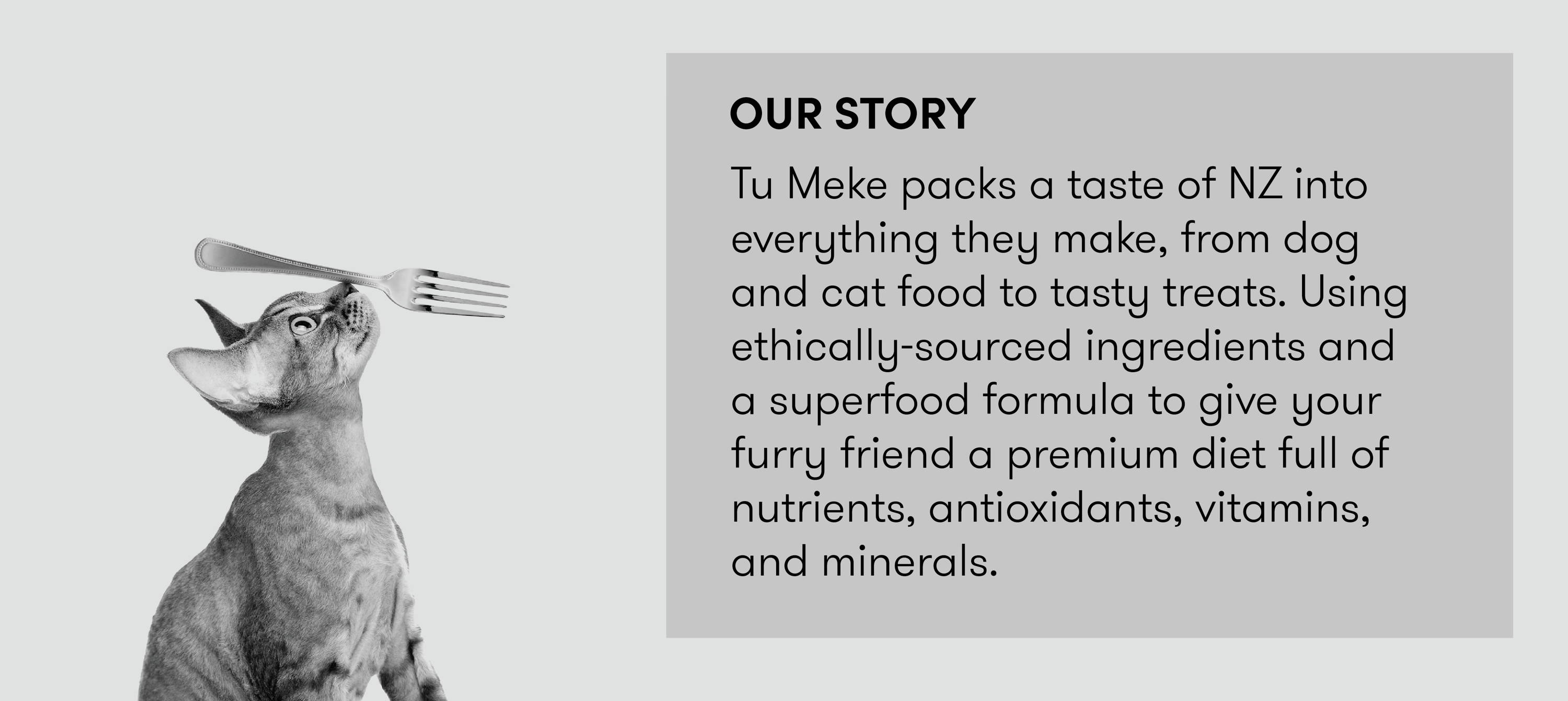 Tu Meke Friend - our story