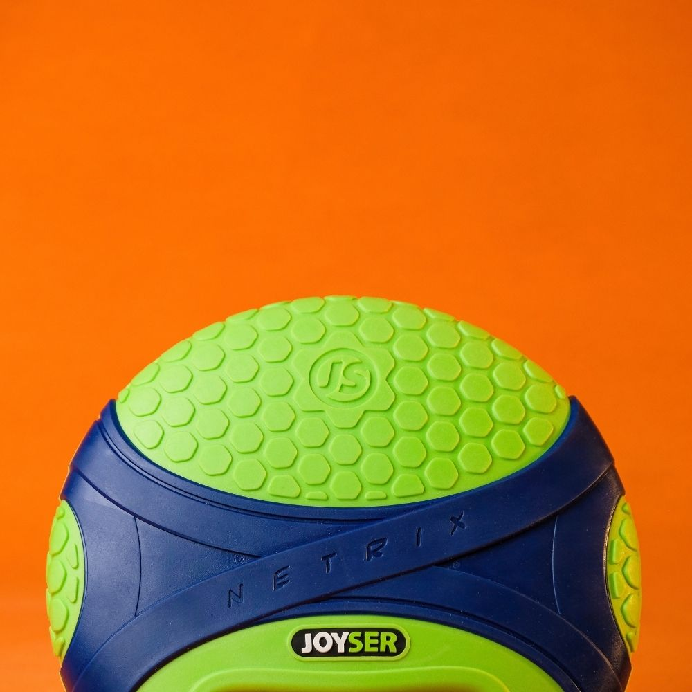 Dog playing with Joyser toy