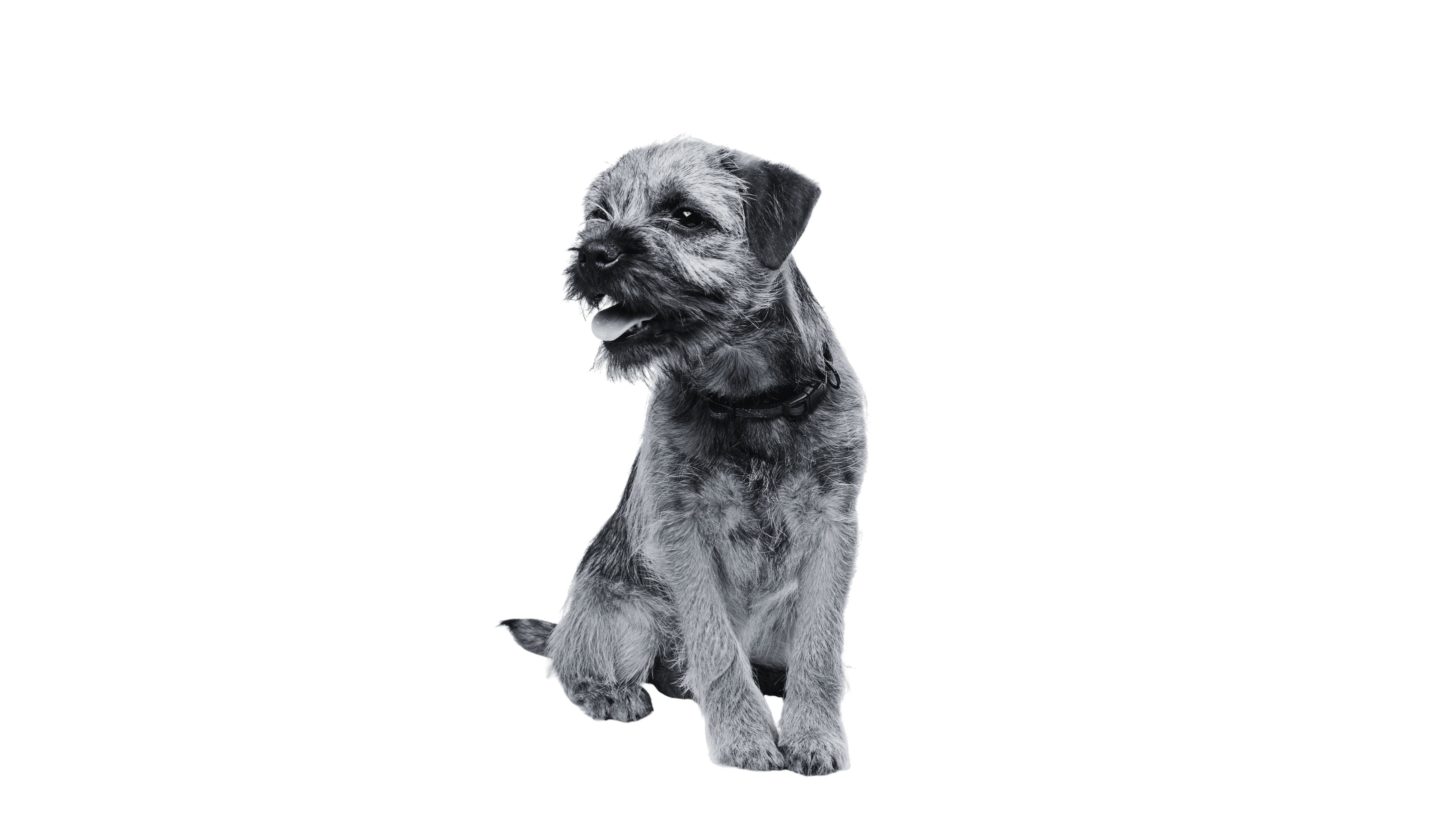 Desktop Image