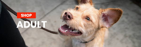 Shop Hill's Science Diet Adult Dog Food