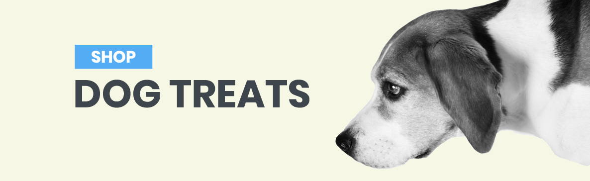 Shop Kiwi Kitchens Dog Treats