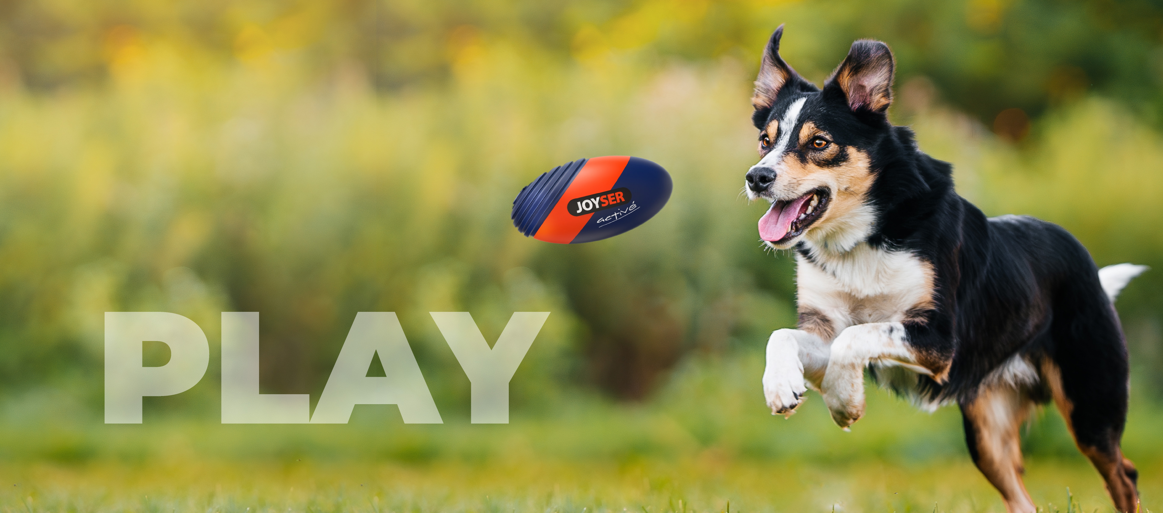 Joyser dog toys lifestyle image