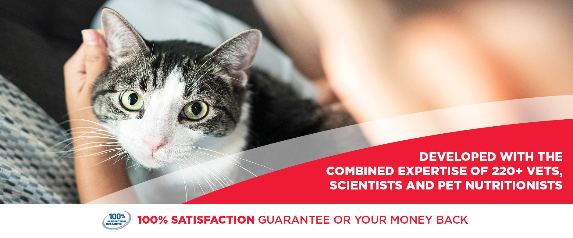 Hill's Science Diet Cat