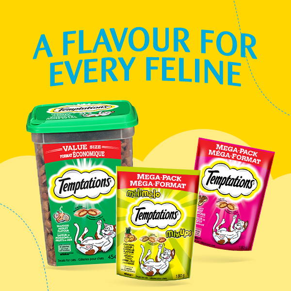 A flavour for every feline