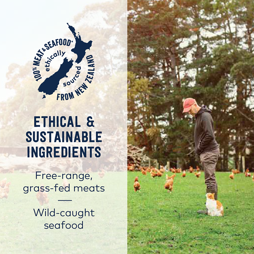Ethical & Sustainable Ingredients