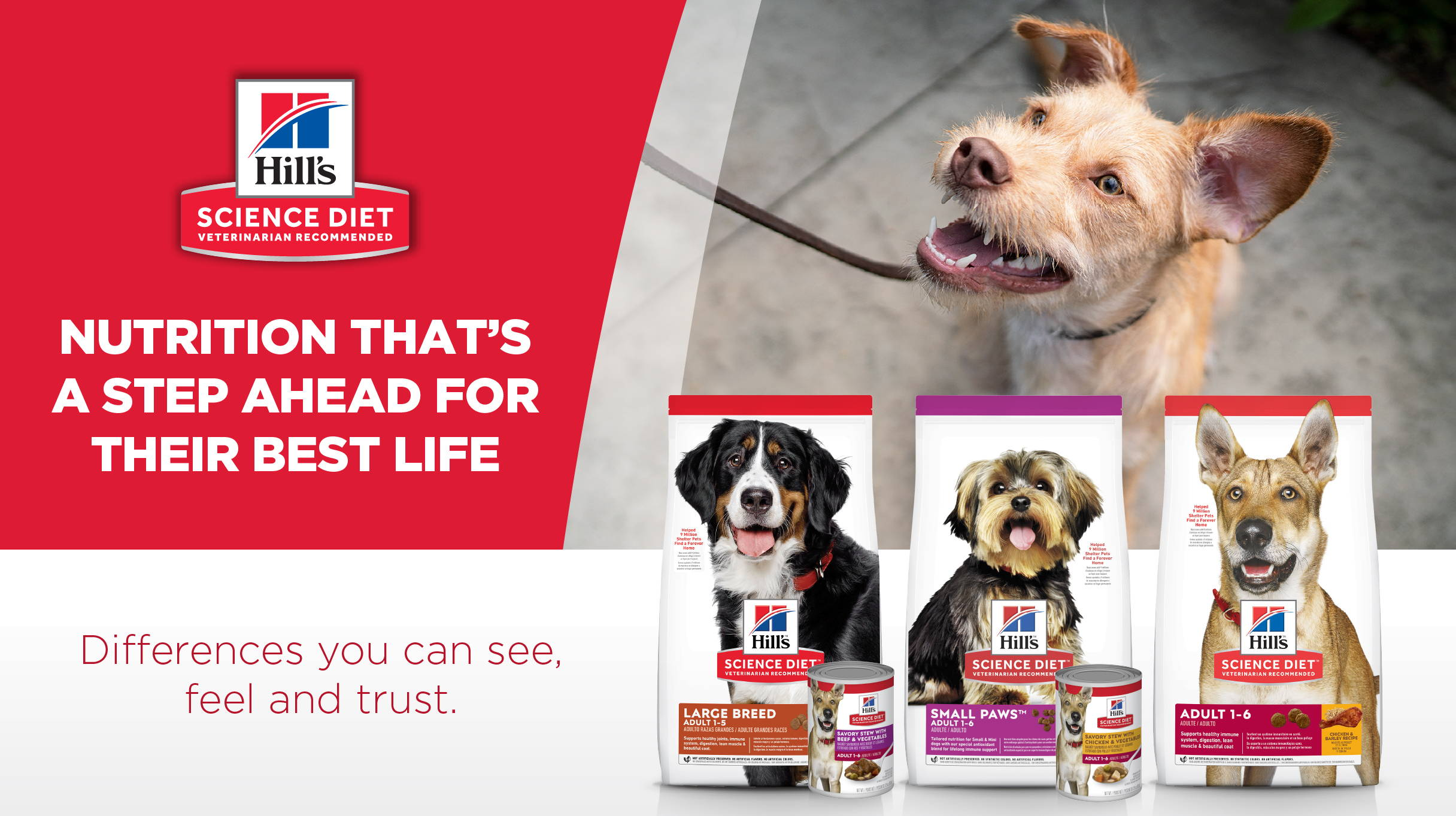 Hill's Science Diet Adult Dog Food