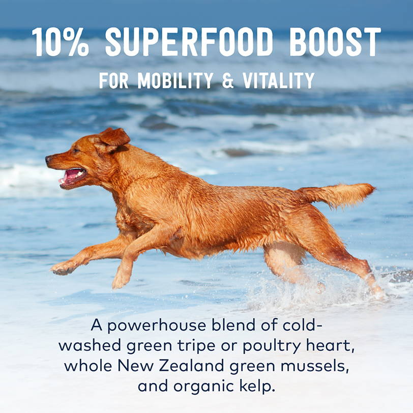 10% Superfood Boost