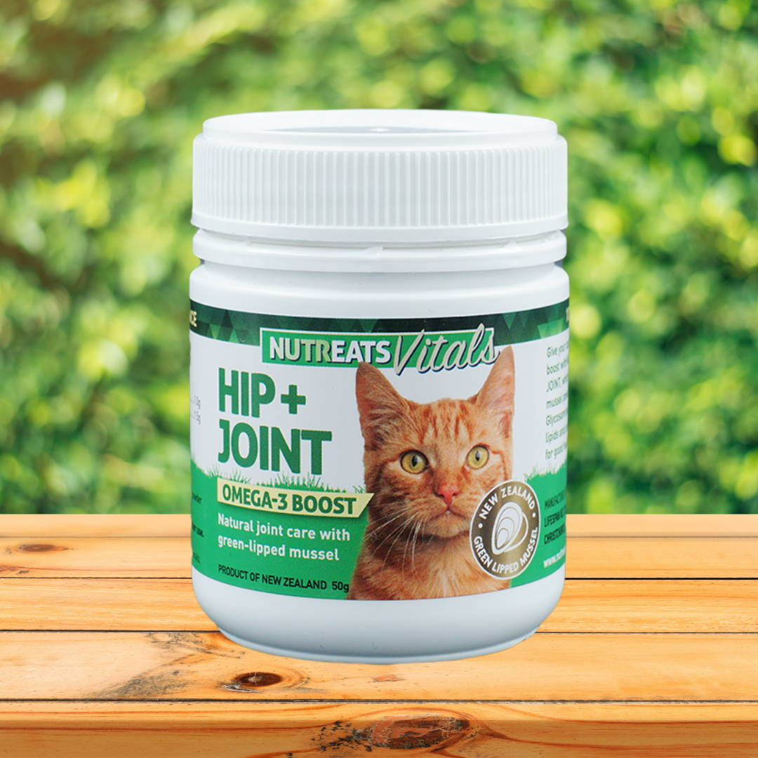 Shop Supplements for Cats