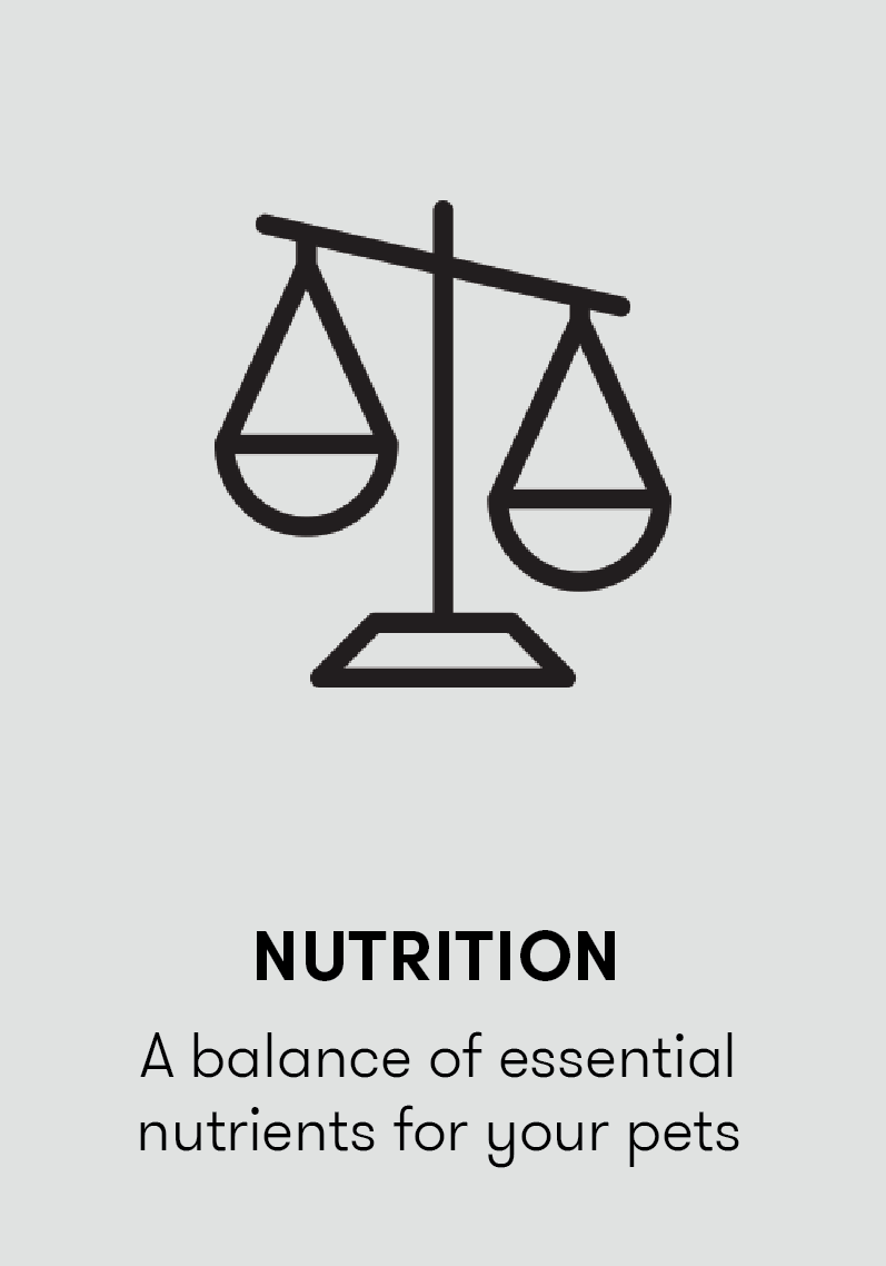 Nutrition - balance of essential nutrients for your pets