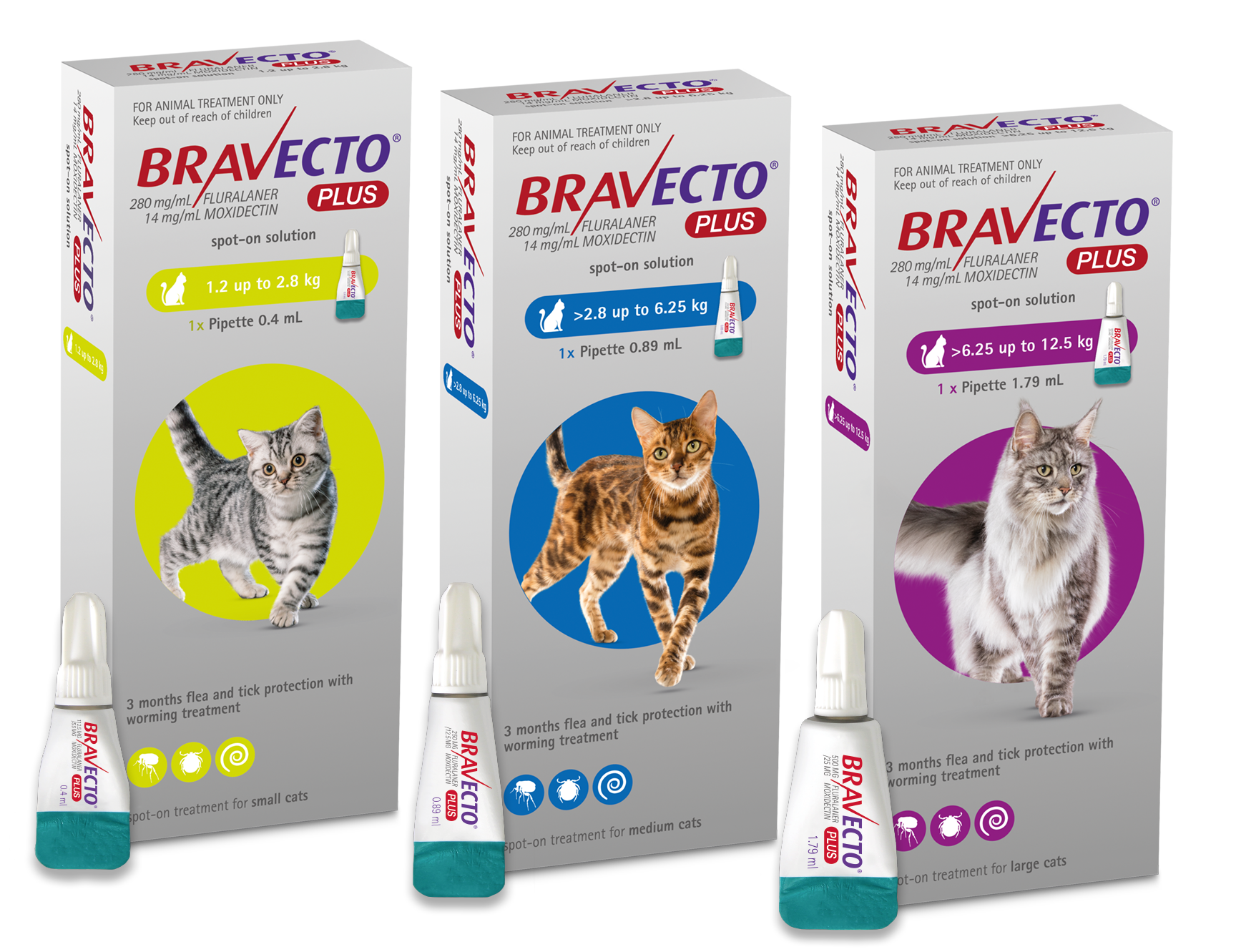 Bravecto Plus for cats