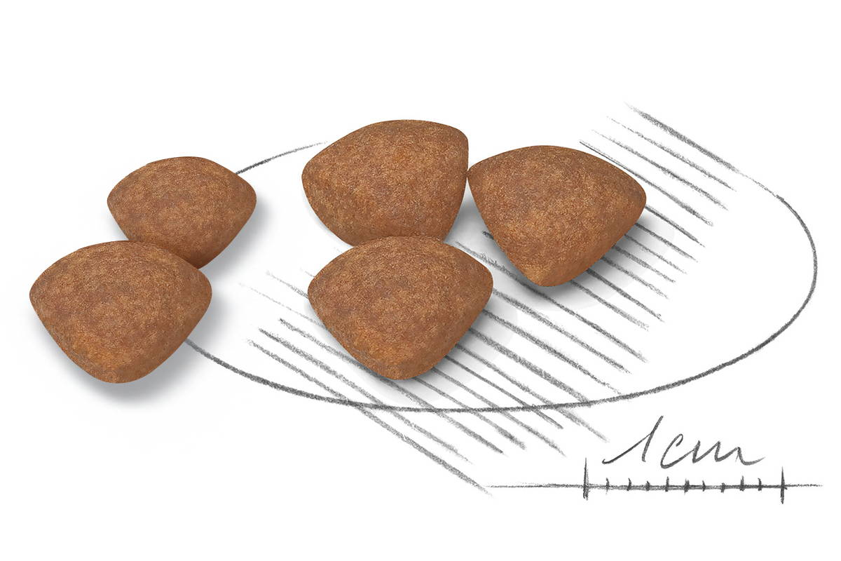 Adapted Kibble Mini Puppy