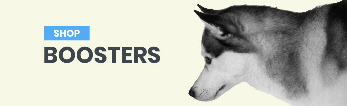 Shop Kiwi kitchens Dog Booters