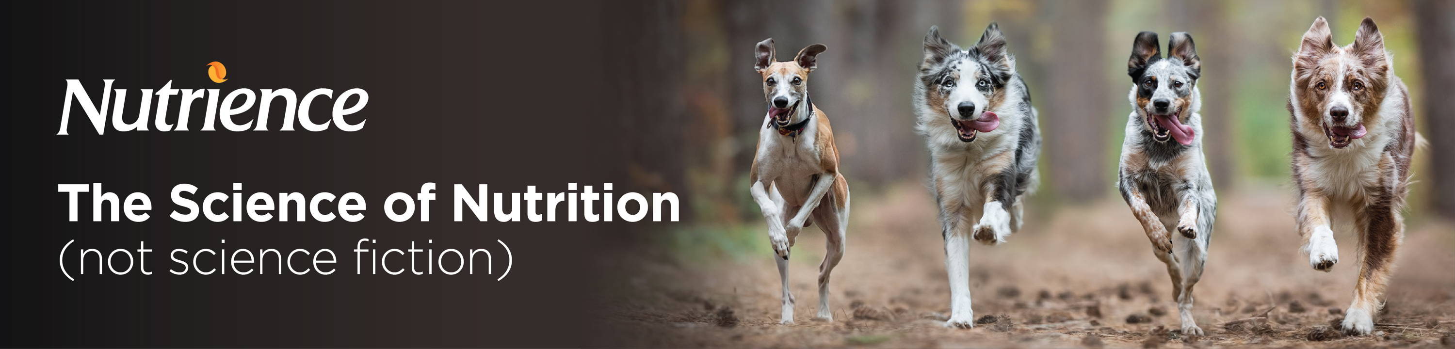 Nutrience - the Science of Nutrition