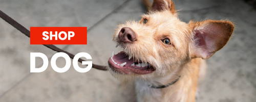 Shop Hill's Science Diet Dog Food