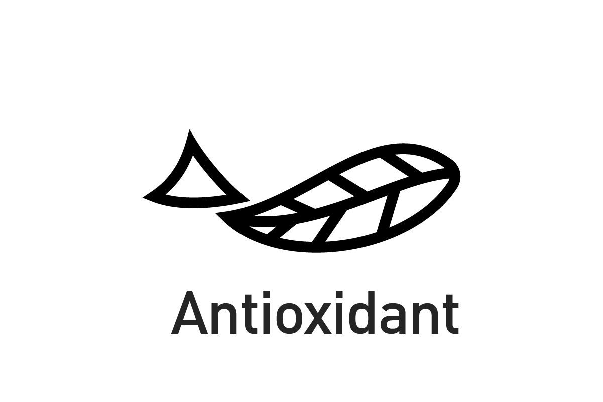 Antioxidant