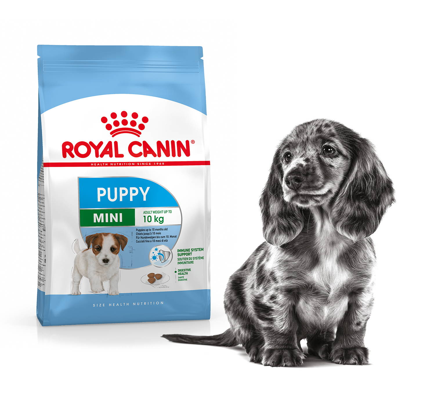 Royal Canin Mini Puppy Food