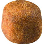 Exclusive kibble Maine Coon