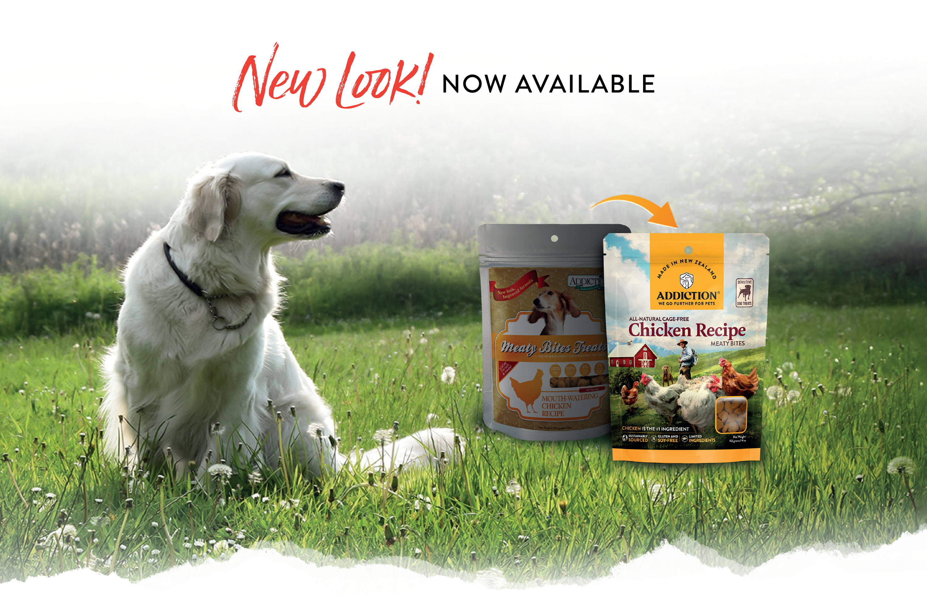 Addiction Meaty Bites Chicken