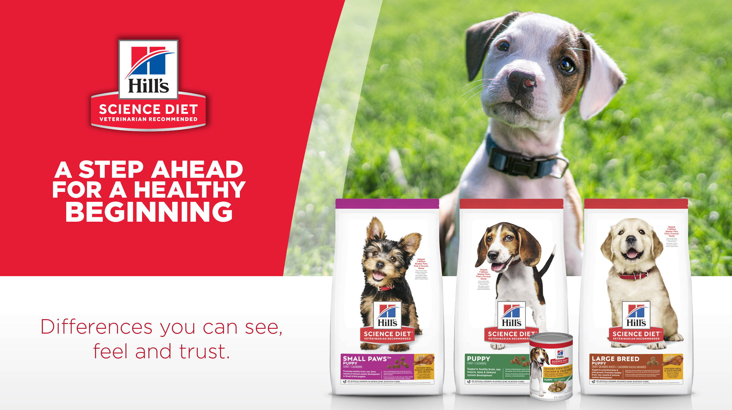 Hill's Science Diet Puppy Food