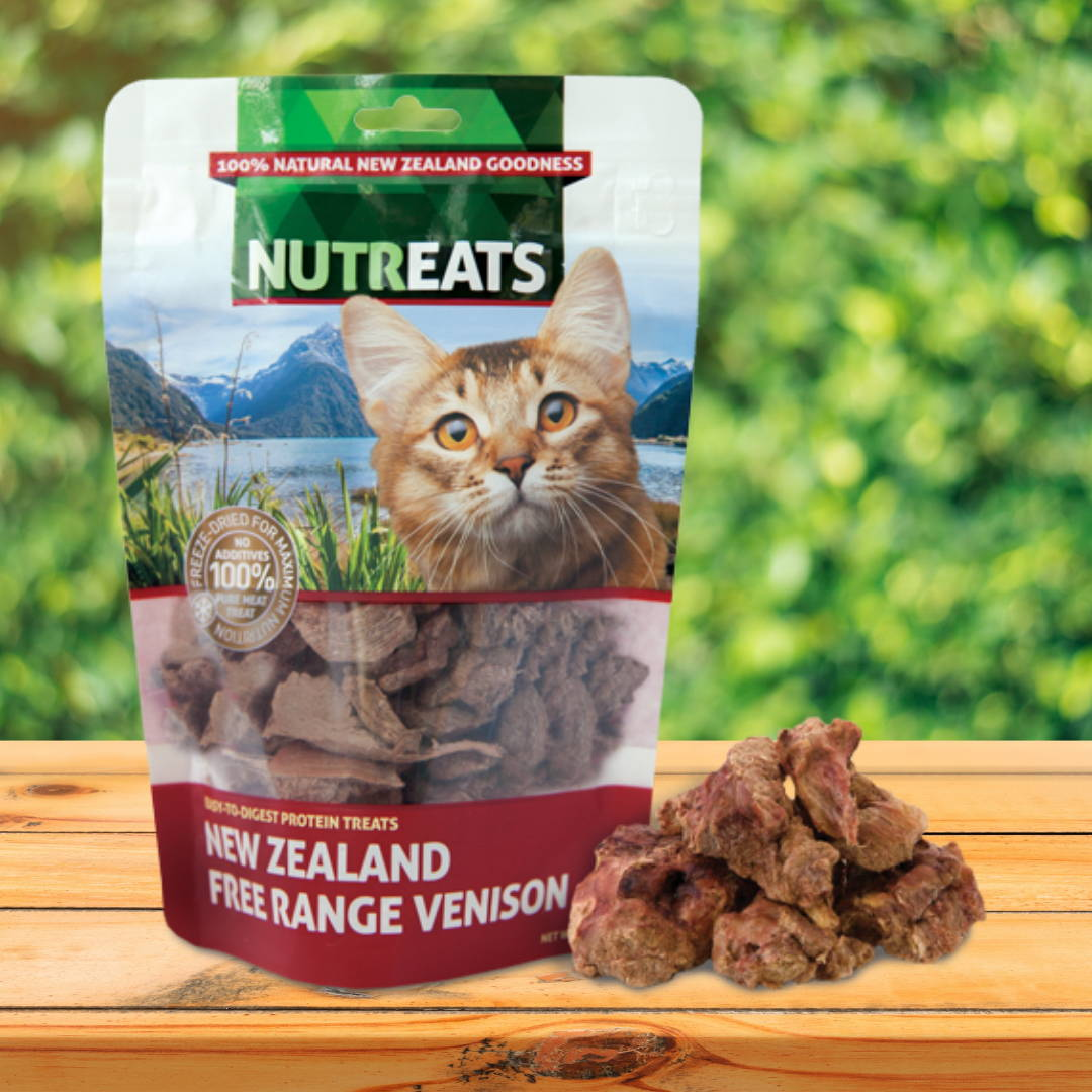 Shop Treats for Cats