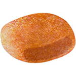 Exclusive kibble Dalmatian