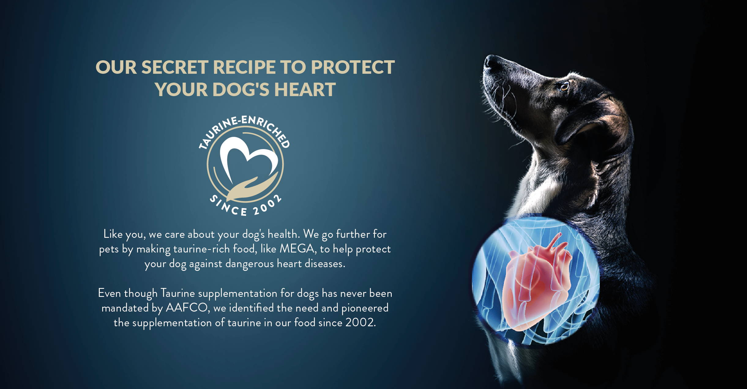 Our secret recipe to protect your dog's heart
