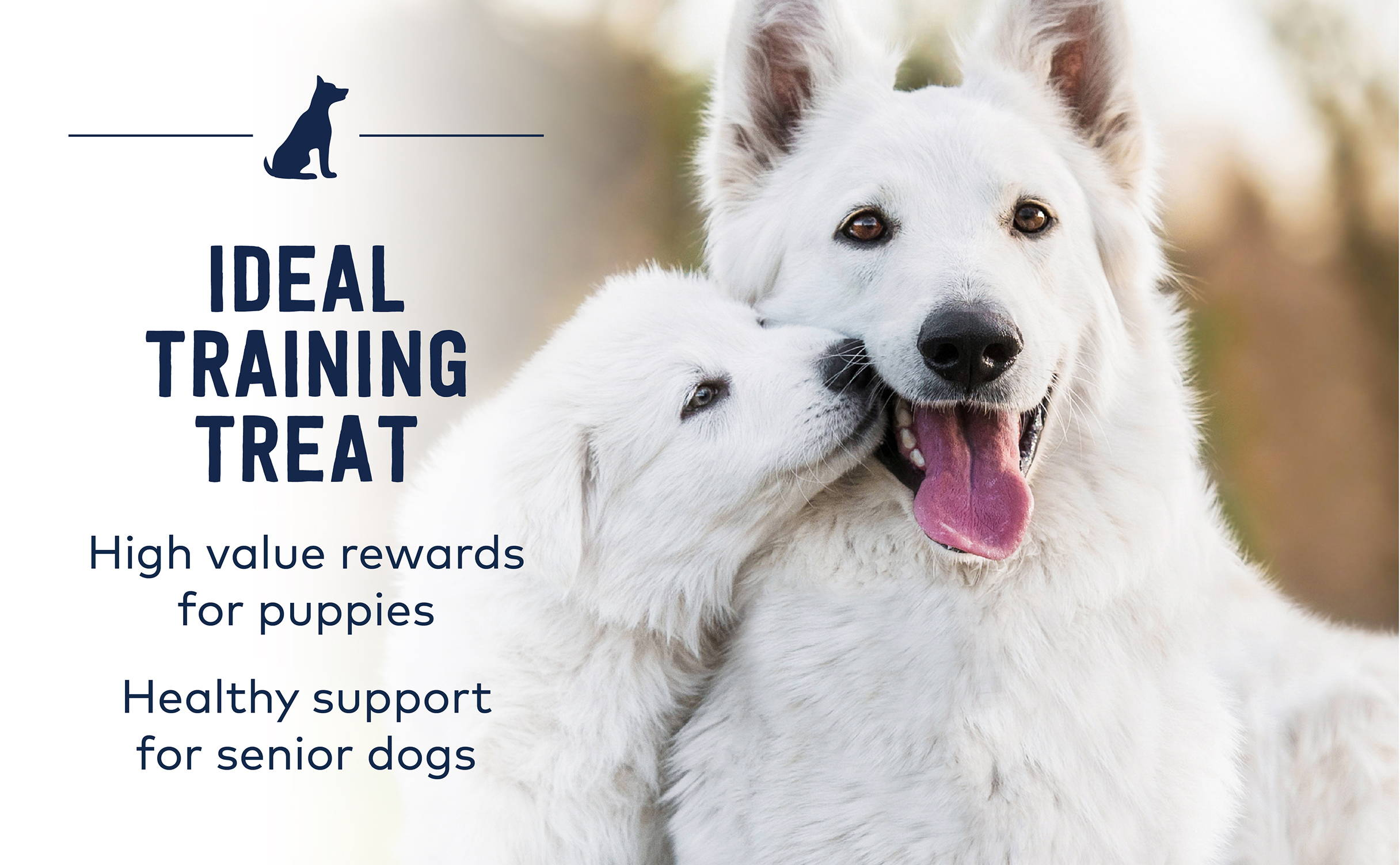 Ideal training treat