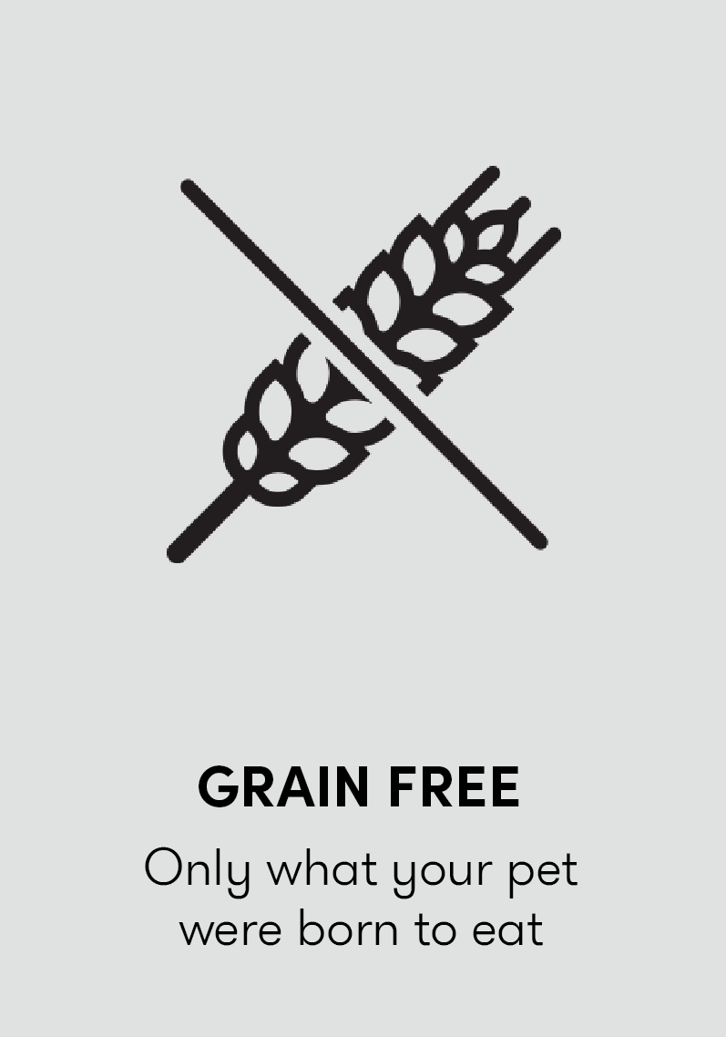 Grain free - only what you pet was born to eat