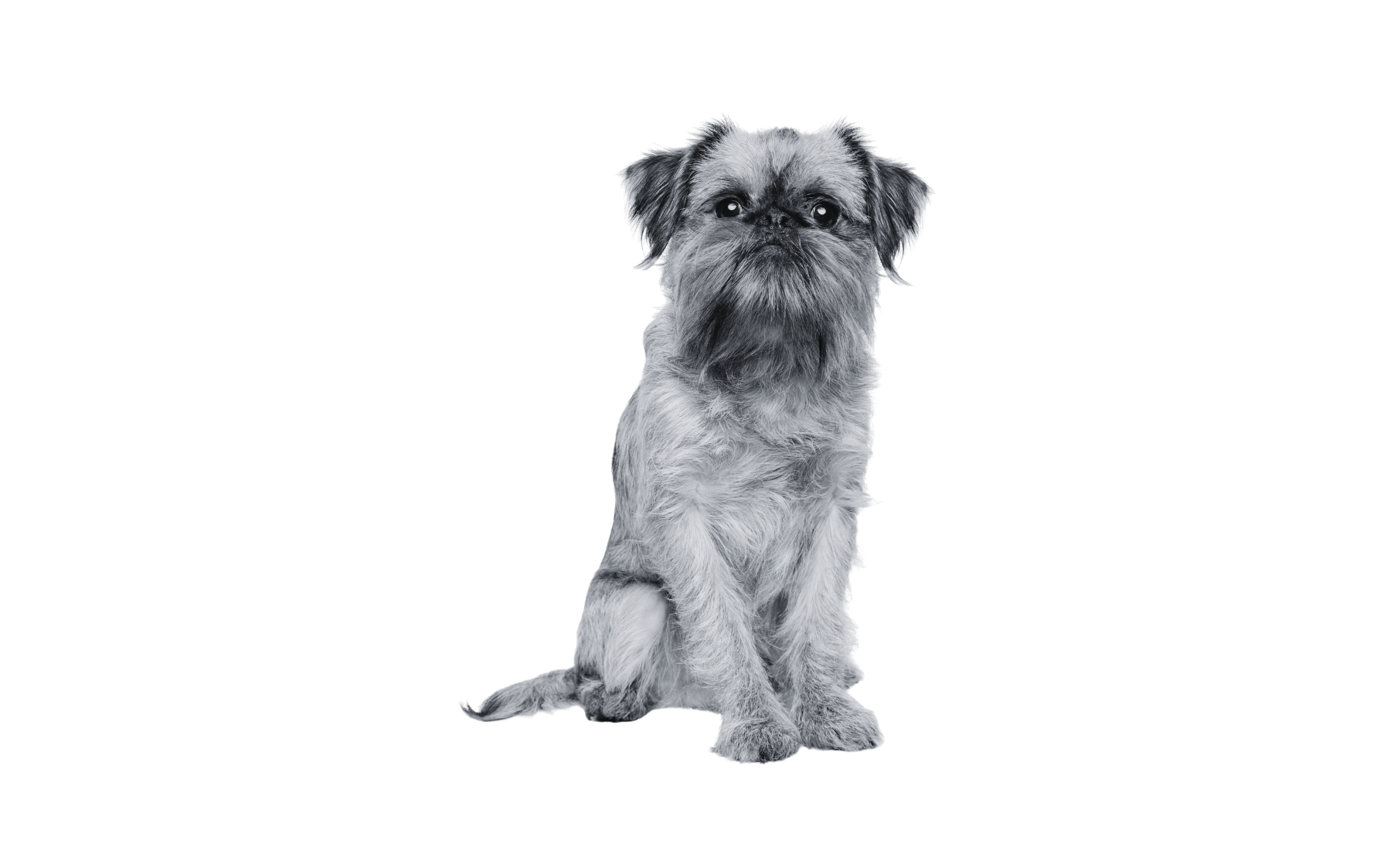 Desktop Image