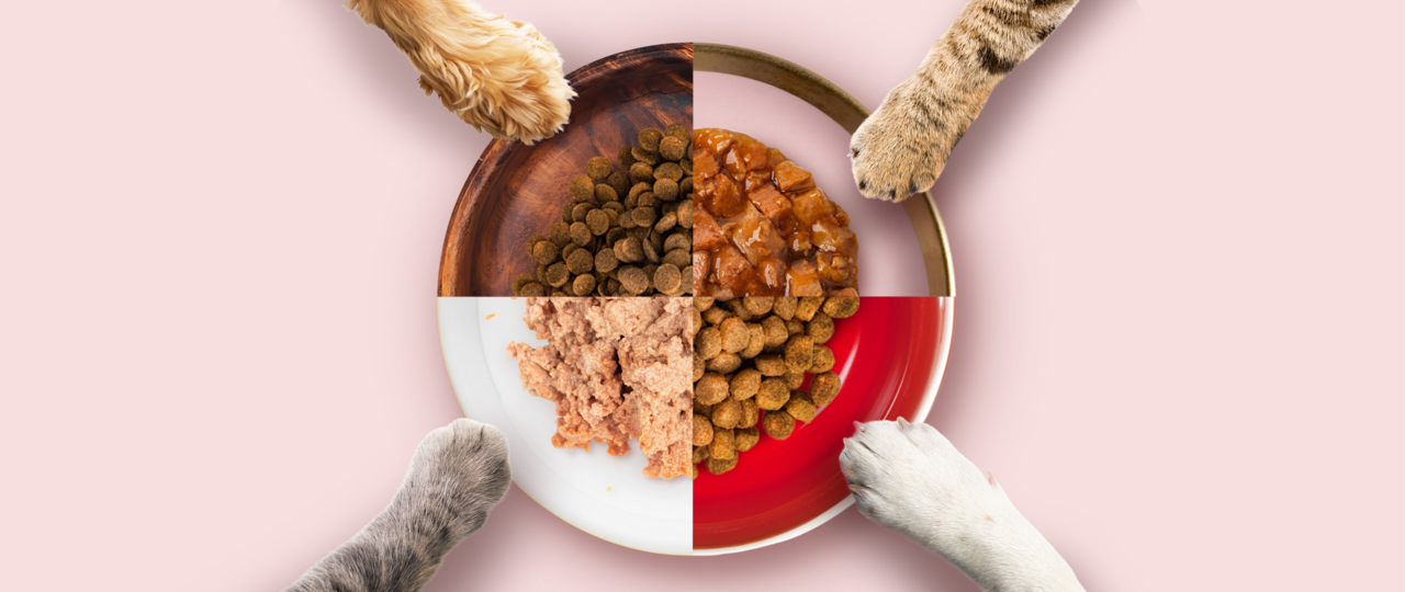 Mix it Up at Mealtime! The Advantages of Mixed Feeding