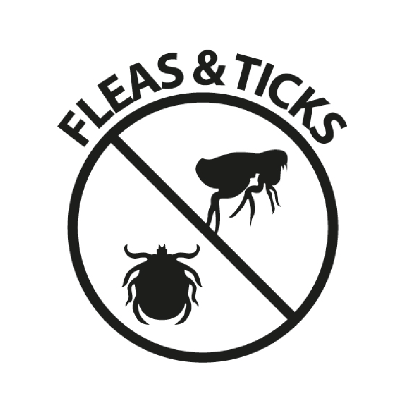 Prevent fleas and ticks
