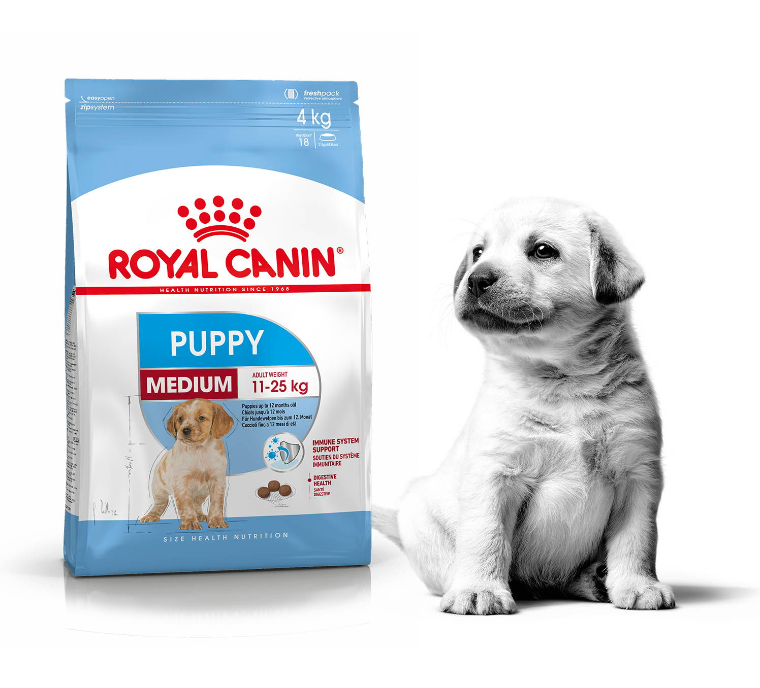 Royal Canin Medium Puppy Food