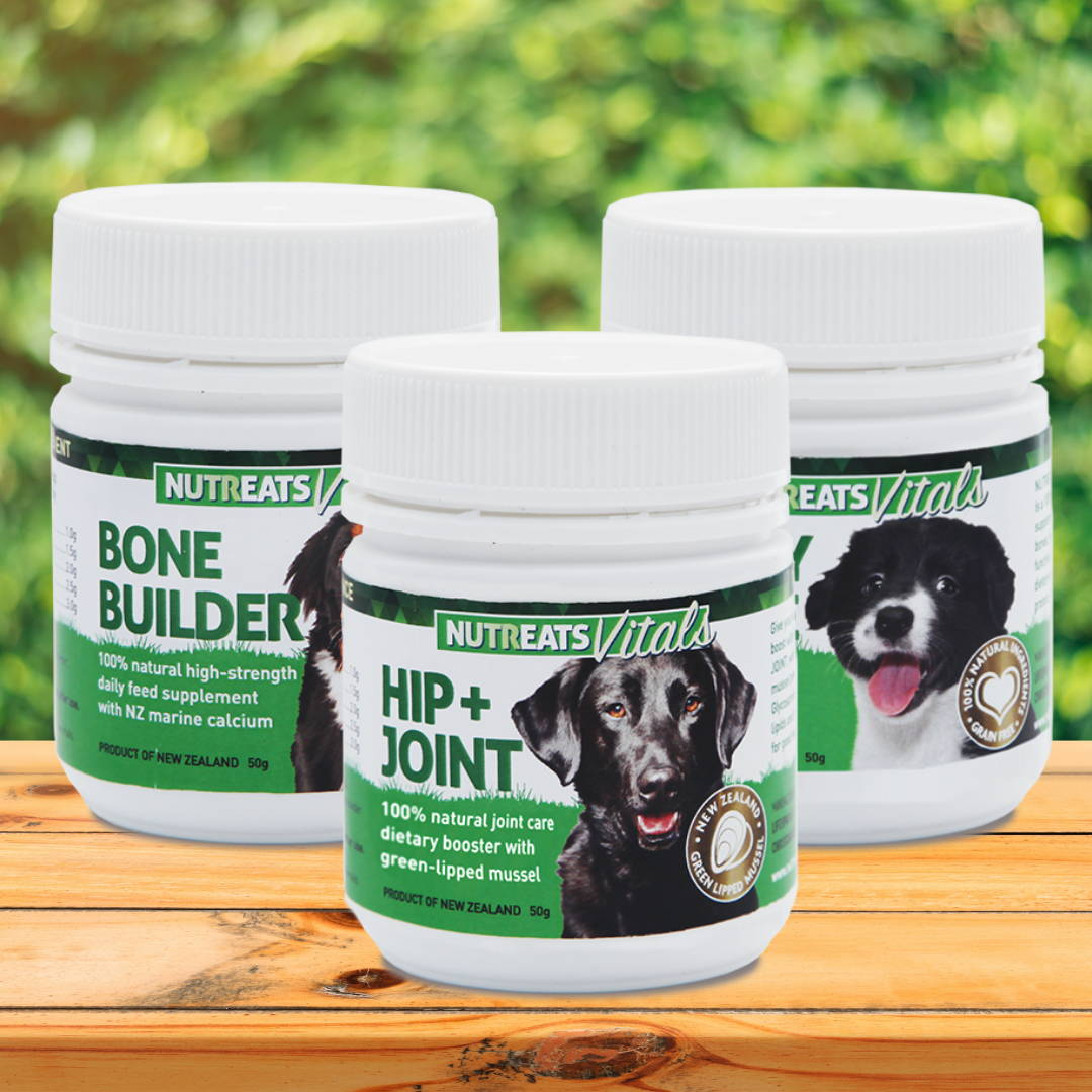 Shop Supplements for Dogs