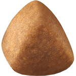 Exclusive kibble Ragdoll