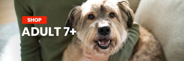 Shop Hill's Science Diet Adult 7+ Dog Food