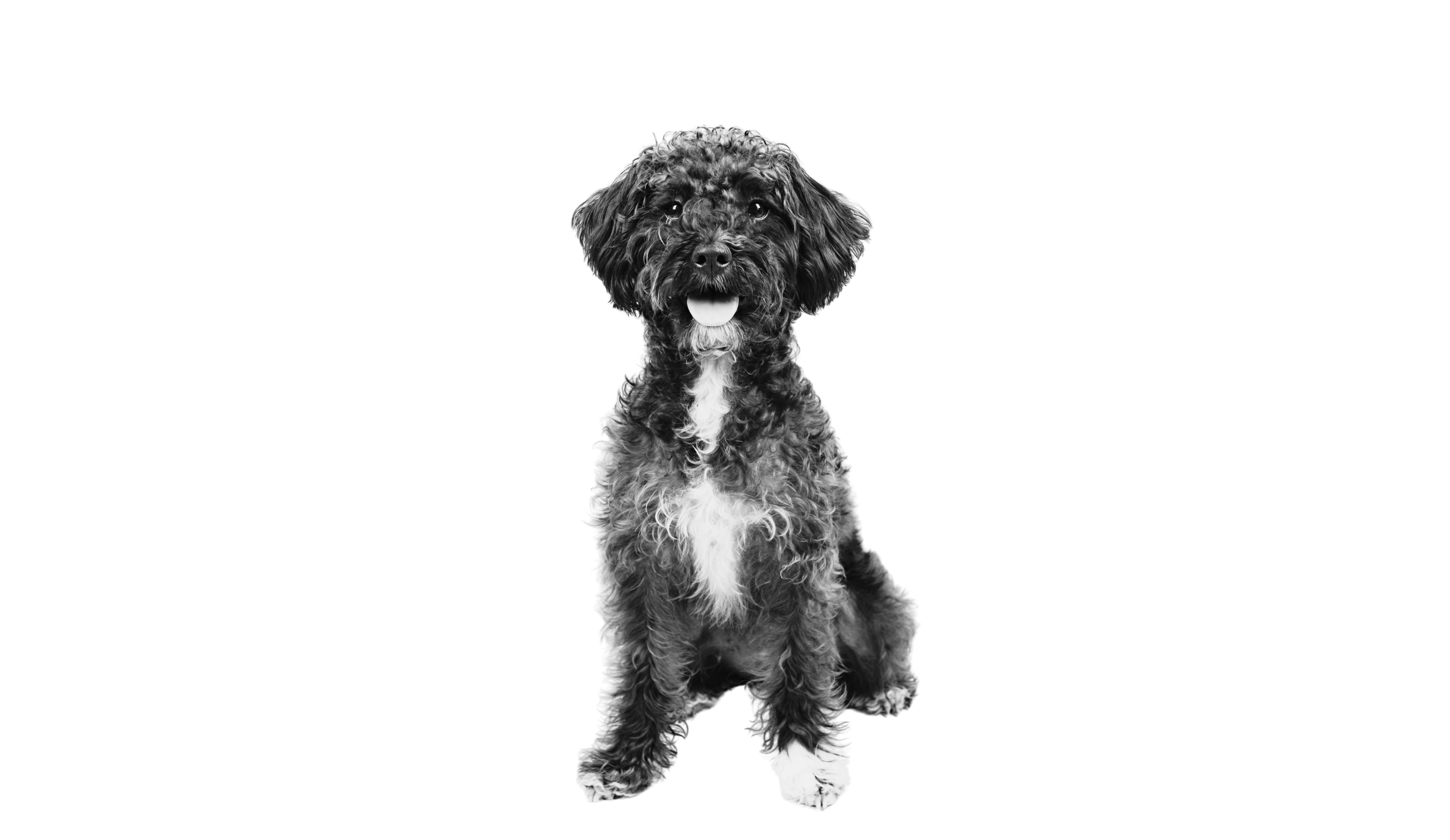 Desktop Image