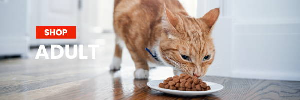 Shop Hill's Science Diet Adult Cat Food