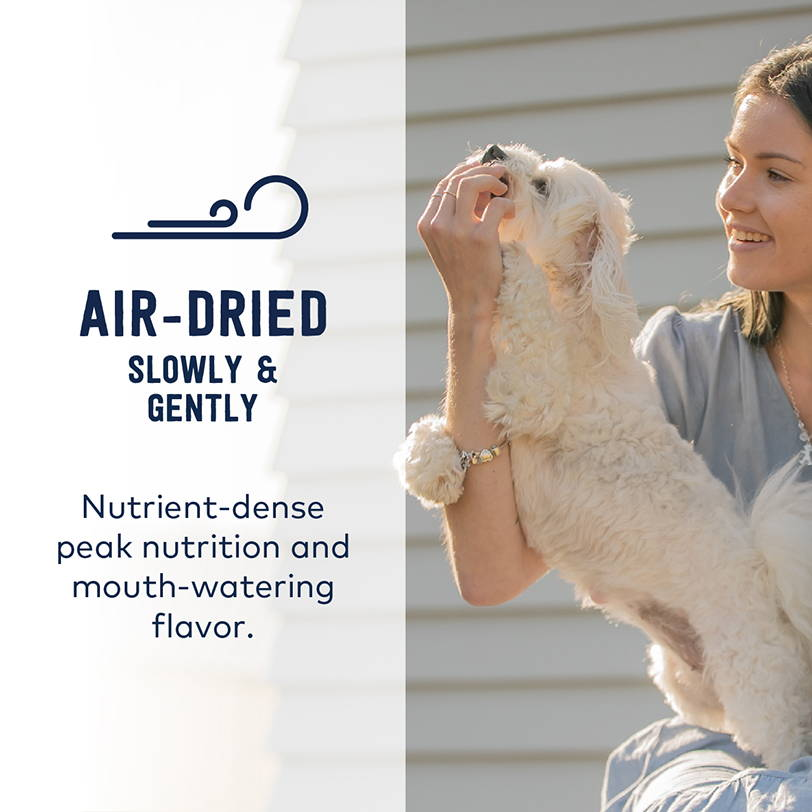 Air-Dried