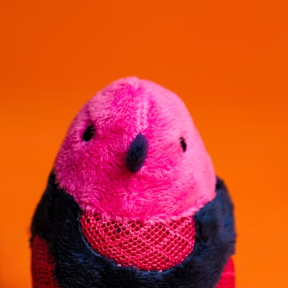 Cat playing with Joyser toy