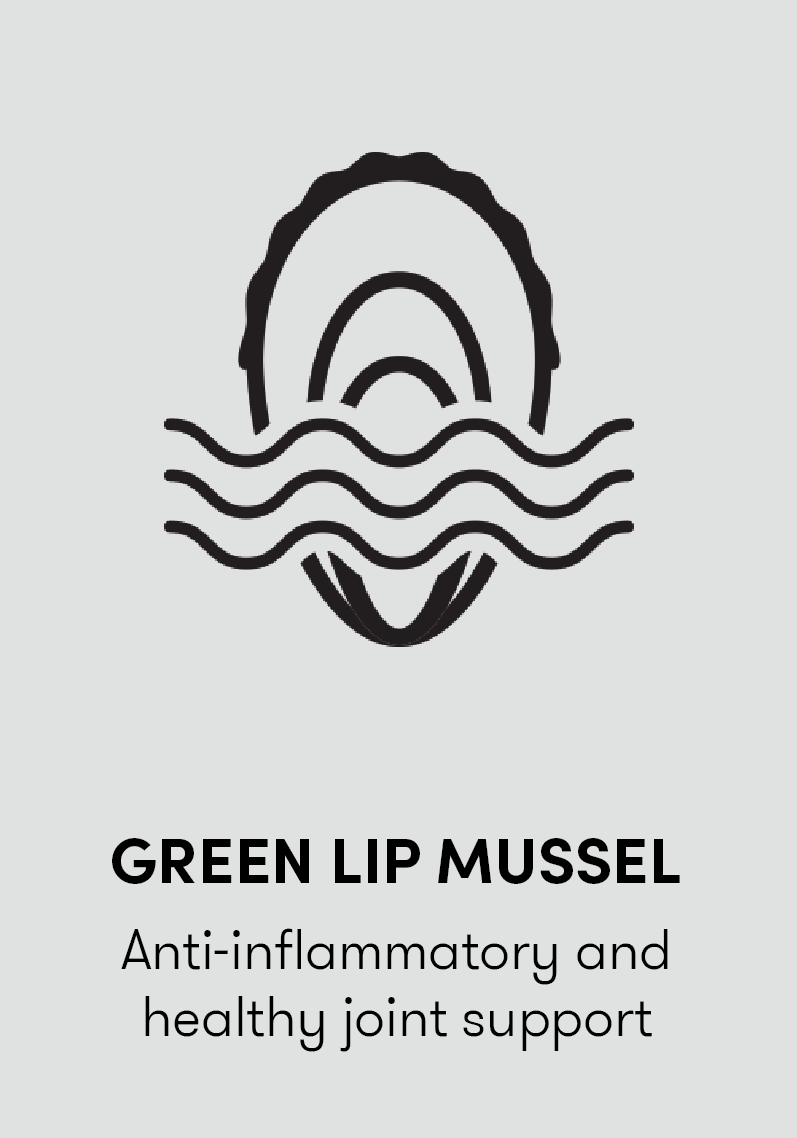 Green lip mussel - anti-inflammatory and healthy joint support