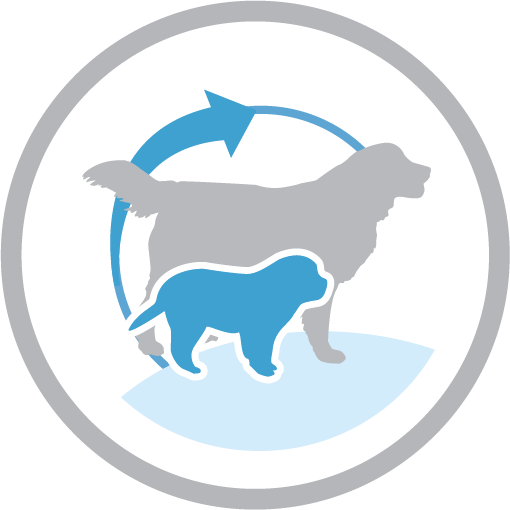 Harmonious Development