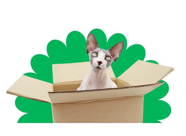 Flexible and convenient 