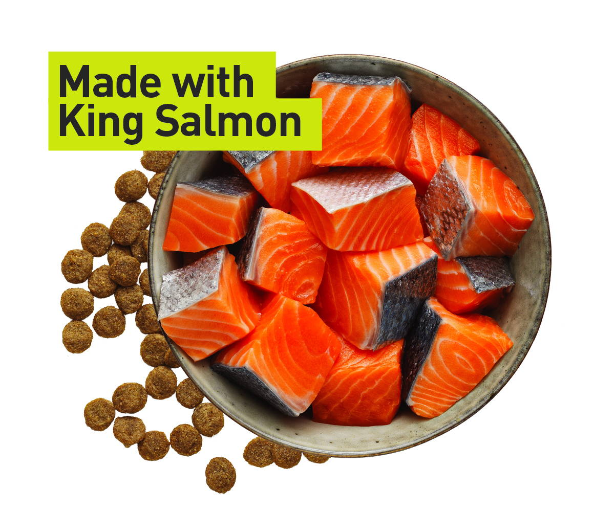 Omega Plus Made with King Salmon