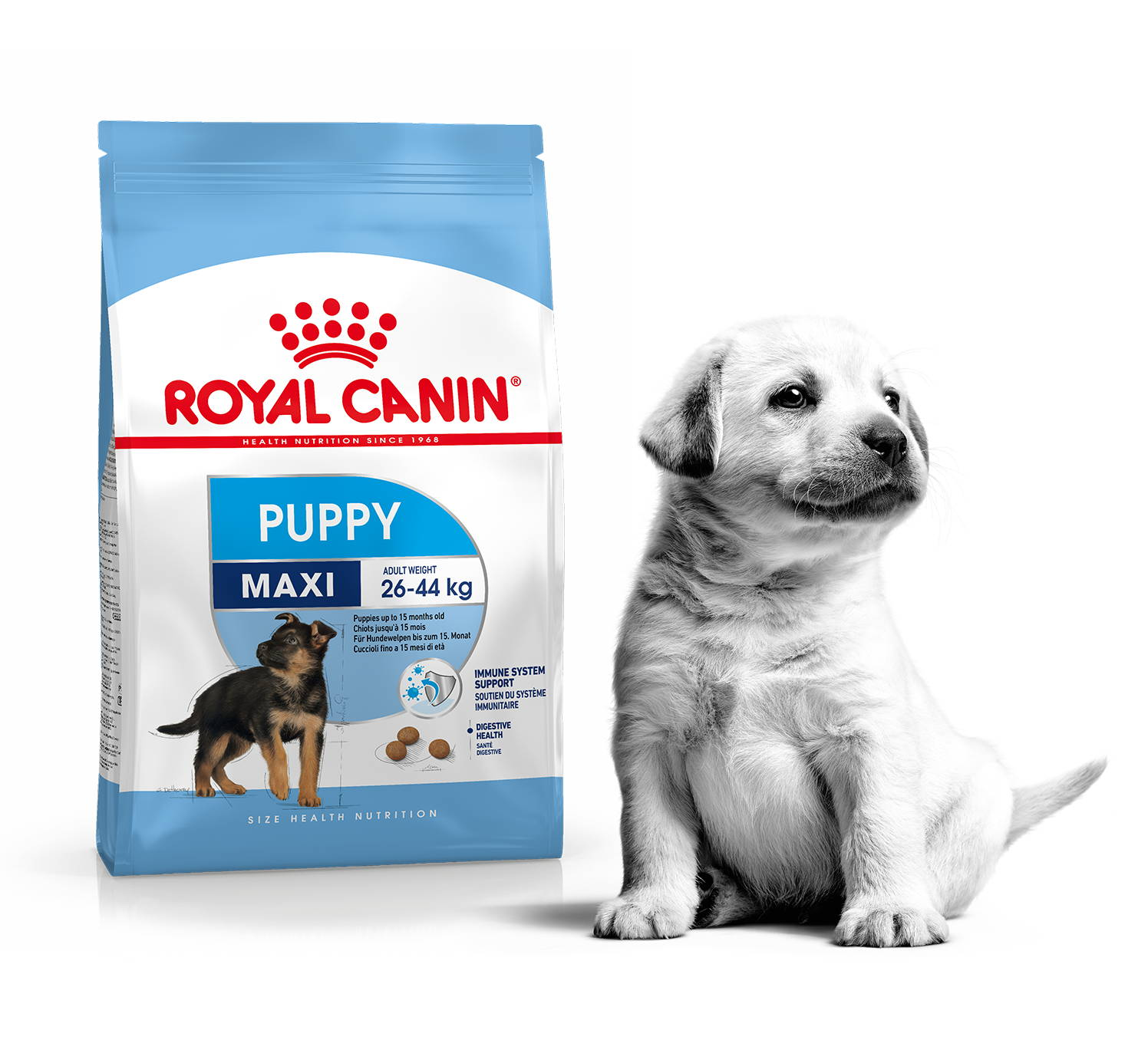Royal Canin Maxi Puppy