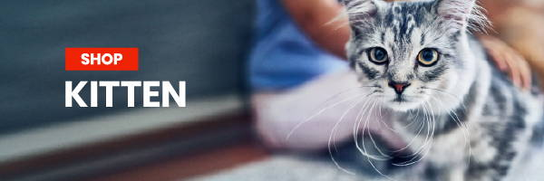 Shop Hill's Science Diet Kitten Food